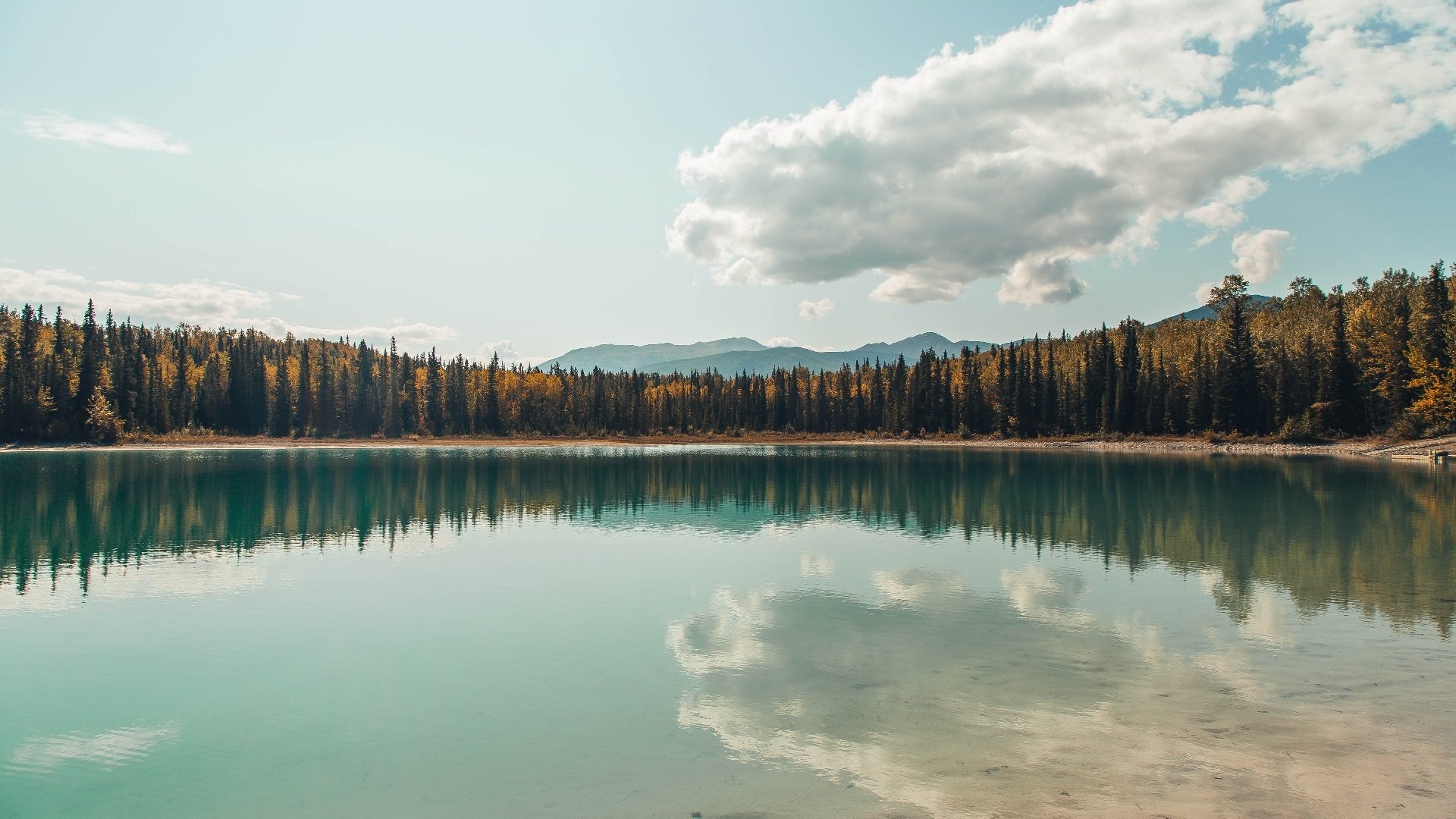 _极夜冰川滑雪：在北极光中疾驰_，北极光滑雪场
