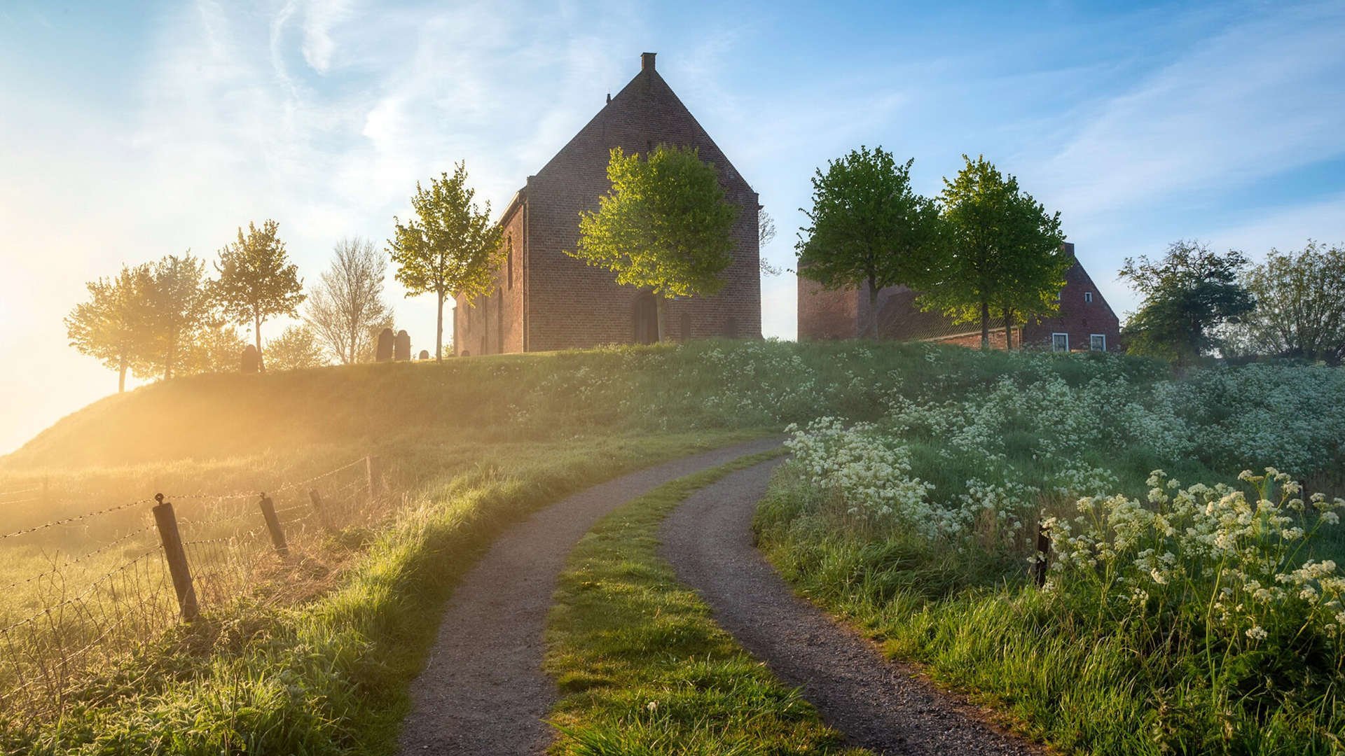 _极限滑板竞速：城市街头的速度狂欢_，极限滑板车百科