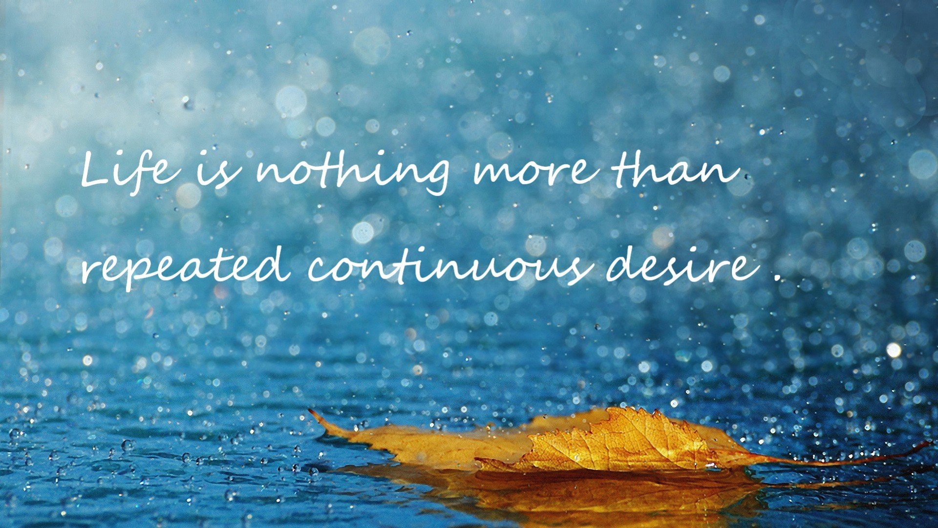 公路自行车环赛，穿越城市与乡村的精彩瞬间，公路竞赛自行车