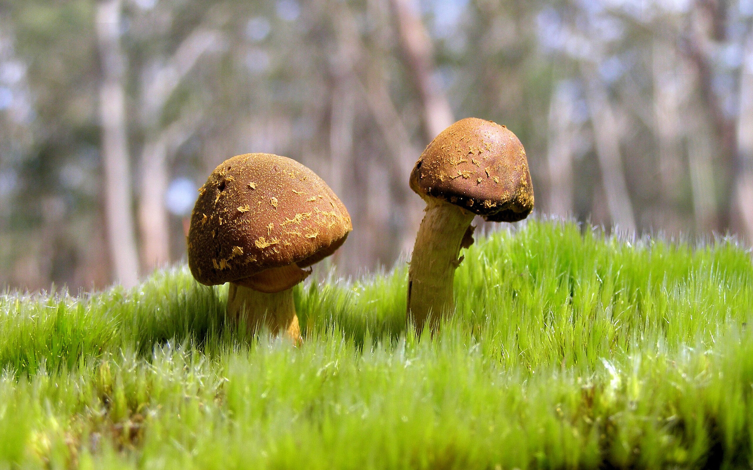 广场舞推动全民健身理念普及，2018全民广场健身舞推广示范