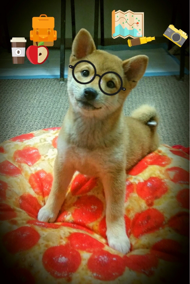 【比赛分析】马克·塞尔比的防守策略,谁能破解?,马克塞尔比的人生经历