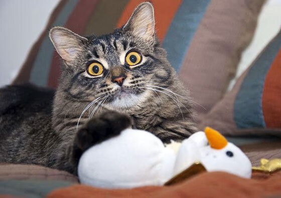 以“篮球+公益”为主题的全民运动日正式启动,篮球全民健身