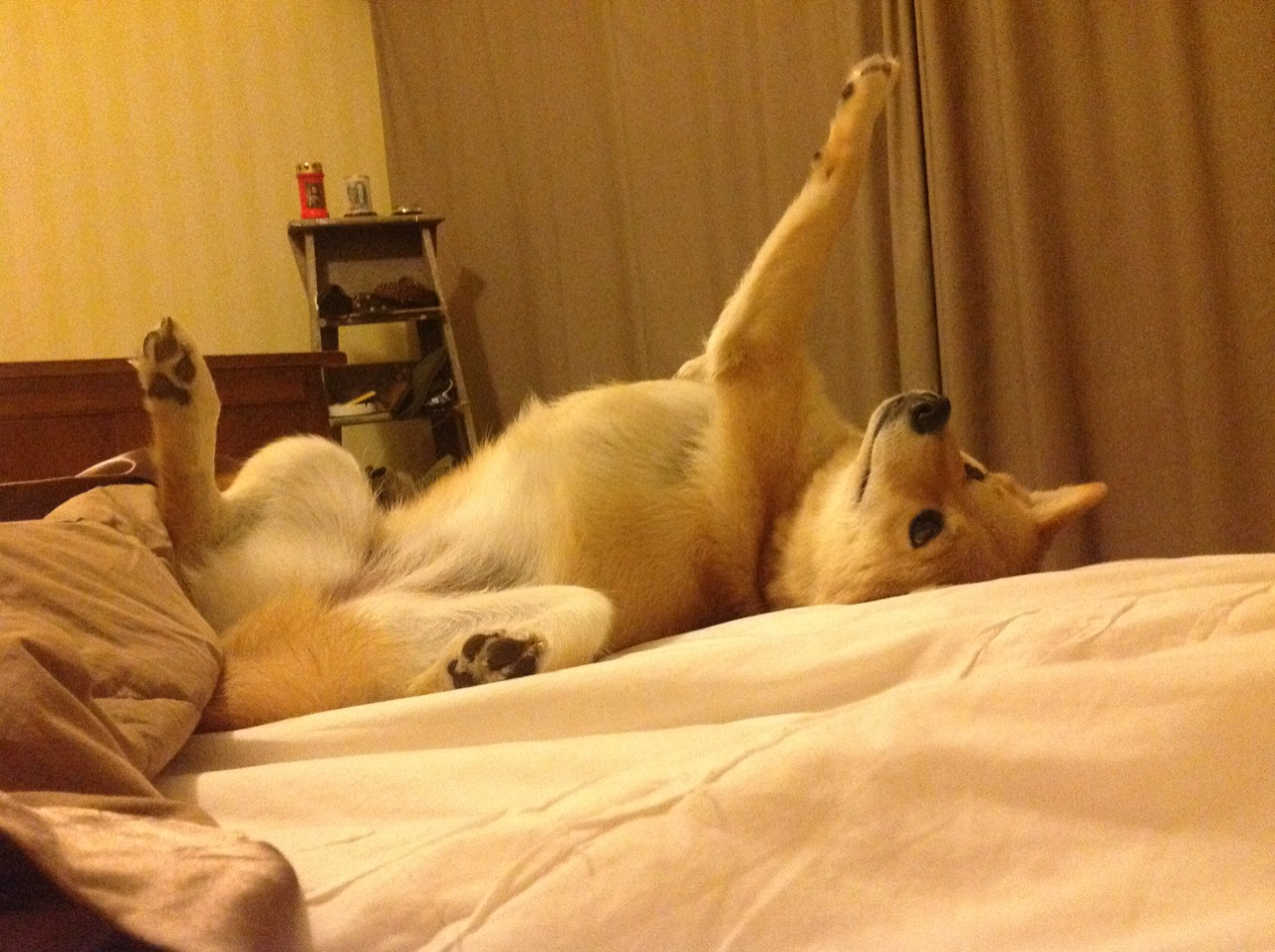 快船齐心协力，掌控比赛节奏